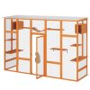 Wooden Cat Enclosure with 6 Jumping Platforms, 2 Cat Condos, Cat Bridge and Scratching Board, Orange