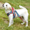 Step-In Denim Dog Harness - Red Plaid