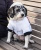 Aspen Winter-White Fashion Pet Parka Coat